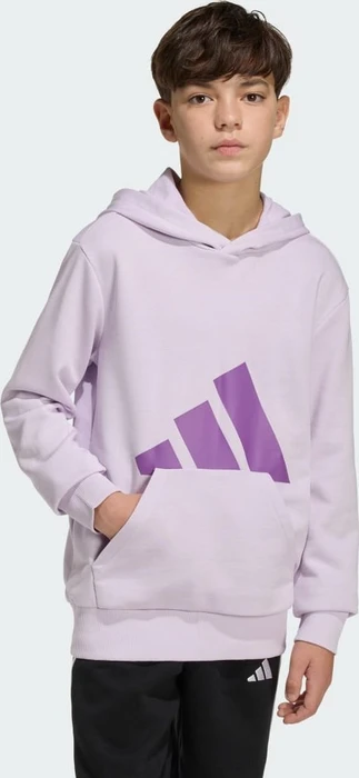 adidas Essentials Hoodie ice lavender/active purple (Junior)