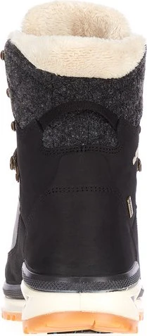 Lowa Renegade Evo Ice GTX schwarz/champagner (Damen)