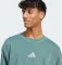 adidas ALL SZN Washed T-Shirt kurzarm aurora ivy (Herren) Vorschaubild
