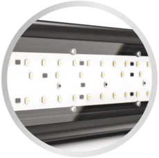 Juwel HeliaLux Spectrum 600, EasyFit Einsetzleuchte, 29W