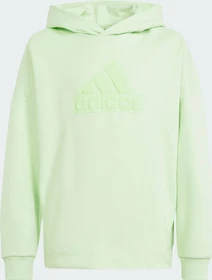 adidas Future Icons Logo Hoodie semi green spark/green spark (Junior)