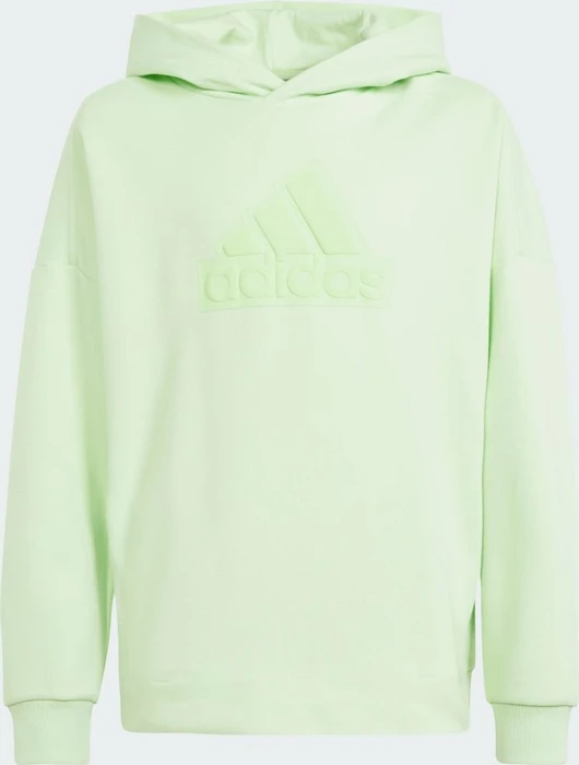 adidas Future Icons Logo Hoodie (Junior)