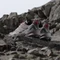 adidas Terrex Skychaser GTX burgundy/preloved fig/grey two (Damen) Vorschaubild