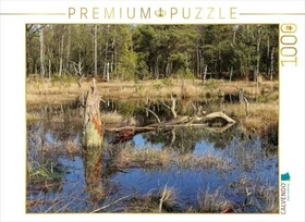 Calvendo Abgestorbene Baumstümpfe im Moorsee im Pietzmoor Schneverdingen