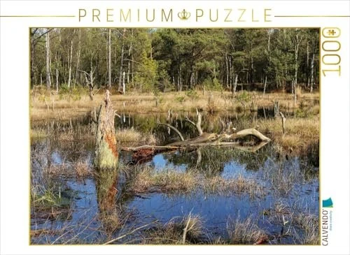 Calvendo Abgestorbene Baumstümpfe im Moorsee im Pietzmoor Schneverdingen