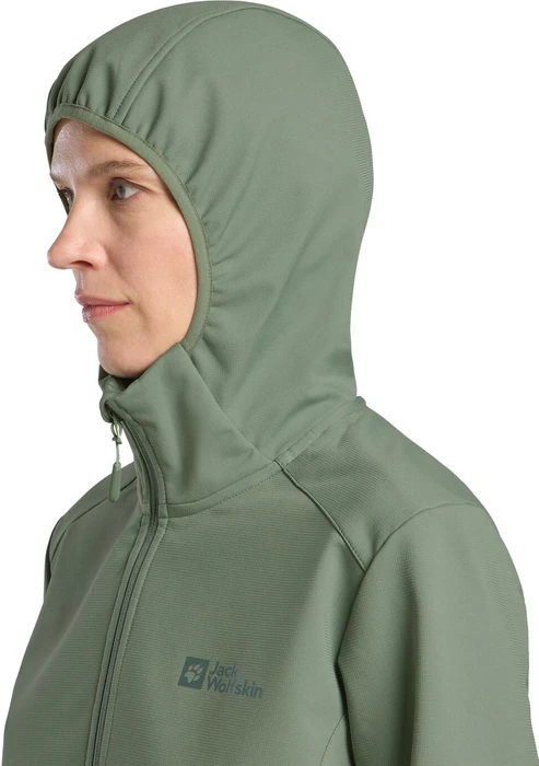 Jack Wolfskin Bornberg Hoody Funktionsjacke eucalyptus (Damen)