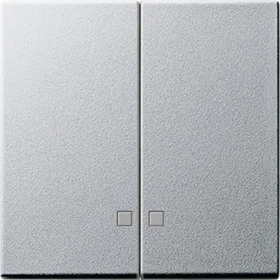 Gira System 55 Wippe 2fach, alu