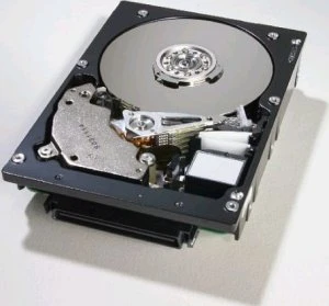 HGST Ultrastar 10K300 73GB, 24/7, 3.5" / U320-LVD