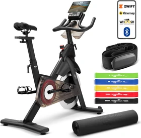 Wingman SNX20 Pro Indoor Cycle schwarz