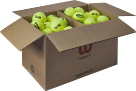 Wilson Triniti Club Tennisbälle, 72 Stück