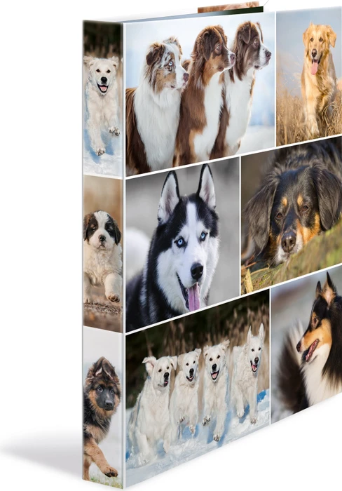 Herma 4D Ringbuch 4-Ring, 30mm, A4, Motiv Hunde
