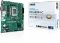 ASUS Pro H810M-C-CSM (Intel 1851) Vorschaubild