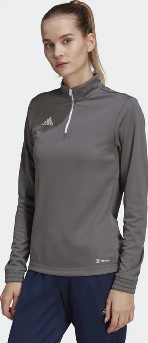 adidas Entrada 22 Training Funktionsshirt langarm team grey four (Damen)