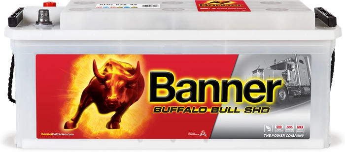 Banner Buffalo Bull SHD 63544