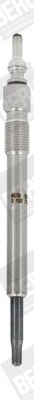 Beru GN050 (0100226435)