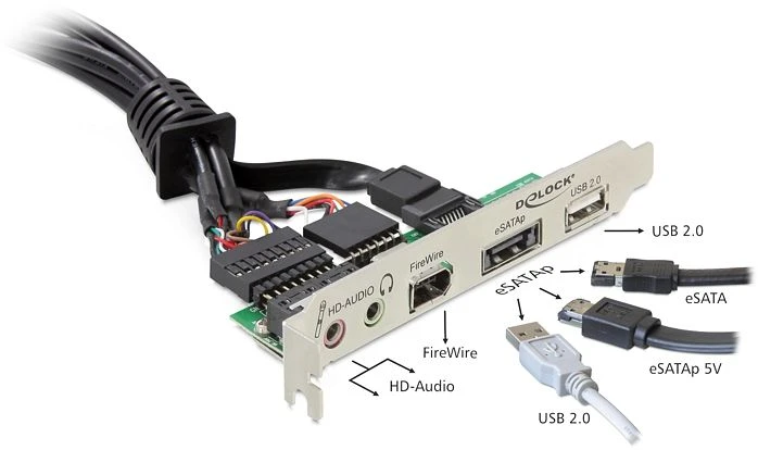 DeLOCK Slotblende, 1x USB-A 2.0, 1x eSATAp, 1x FireWire, 1x Klinke