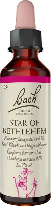 Bachblüte Star of Bethlehem, 20 ml Image