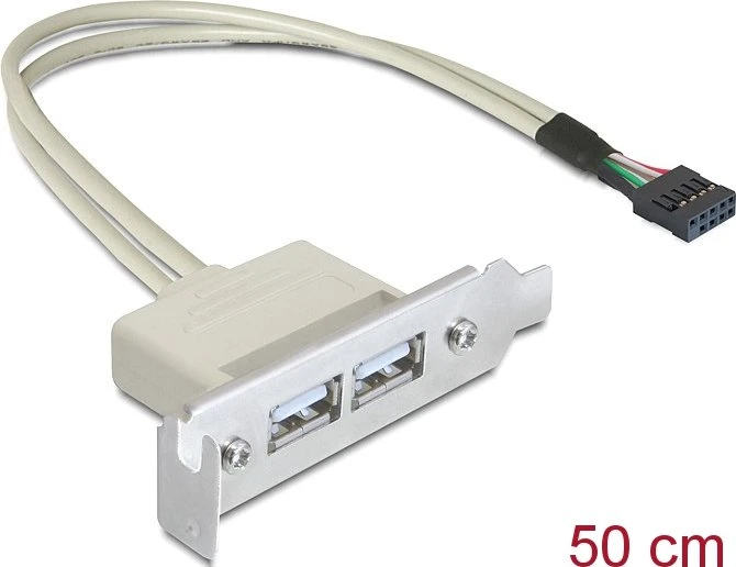 DeLOCK Slotblende, 2x USB-A 2.0