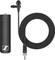 Sennheiser XSW-D Portable Eng Set Vorschaubild