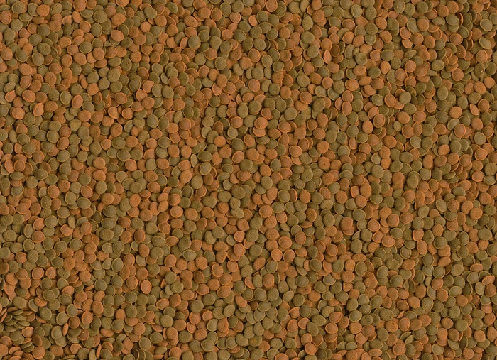 Tetra Wafer Mini Mix Hauptfutter für kleine Bodenfische und Krebse, 52g, 100ml