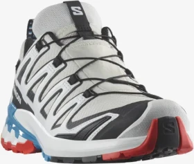 Salomon XA Pro 3D V9 GTX lunar rock/white/black (Damen)