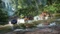 Forza Horizon 3 (Xbox One/SX) Vorschaubild
