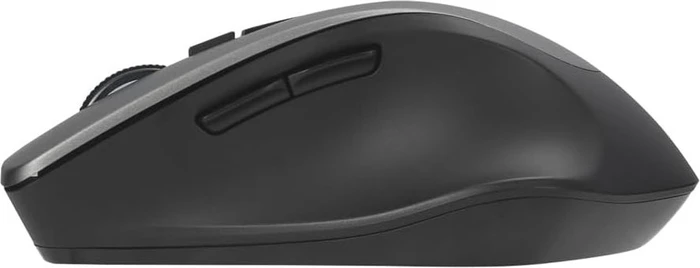 ASUS WT425 grau, USB