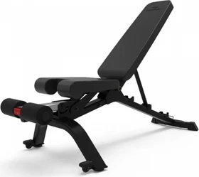BowFlex SelectTech 3.1S Hantelbank