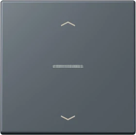 Jung HOME Taster 1-fach, gris foncé 59