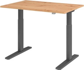 Hammerbacher Ergonomic Aktiv XMKA12 elektrisch höhenverstellbarer Sitz-Steh-Schreibtisch 120x80cm Asteiche/grau