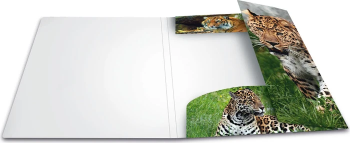 Herma Sammelmappe, A4, Tiermotiv Leopard
