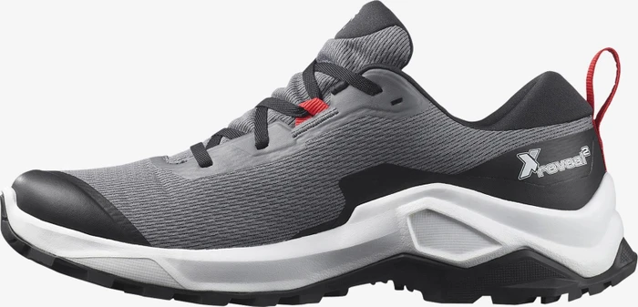 Salomon X Raise 2 GTX quiet shade/black/goji berry (Herren)