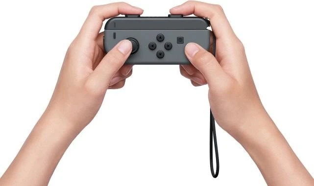 Nintendo Switch (2019) schwarz/grau