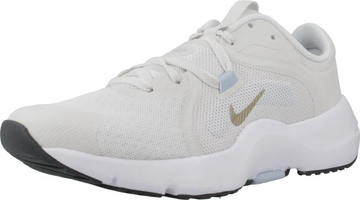 Nike In-Season TR 13 platinum tint/light armory blue/lilac bloom/metallic gold grain (Damen)
