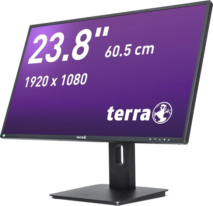 Wortmann Terra LED 2456W PV V4, 23.8"