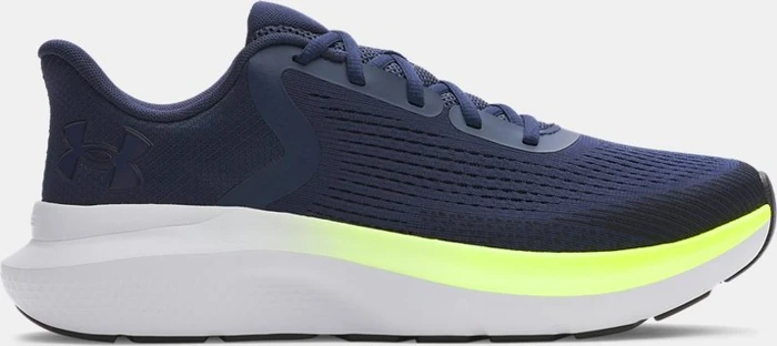 Under Armour Rogue 5 (Herren)