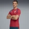 Puma FIFA WM 2026 Portugal Slim Trainingstrikot kurzarm club red/silver mist (Herren) Vorschaubild