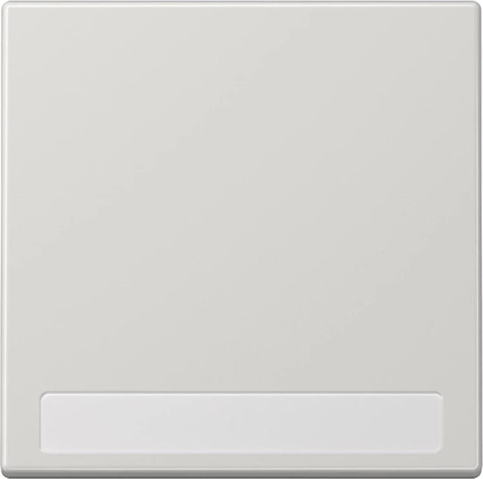 Jung Serie LS Wippe mit Schriftfeld 990 NA