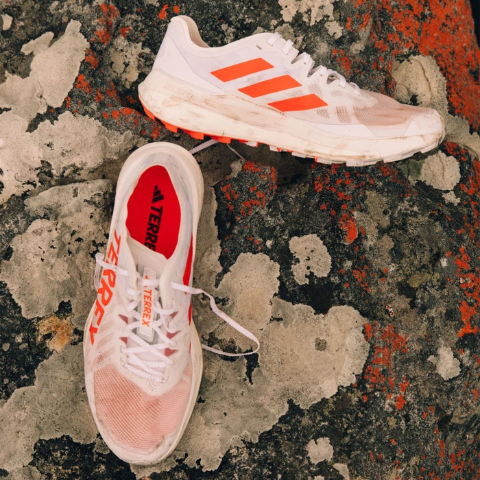 adidas Terrex Agravic Speed dash grey/impact orange/cloud white (Herren)