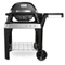 Weber Pulse 2000 Vorschaubild