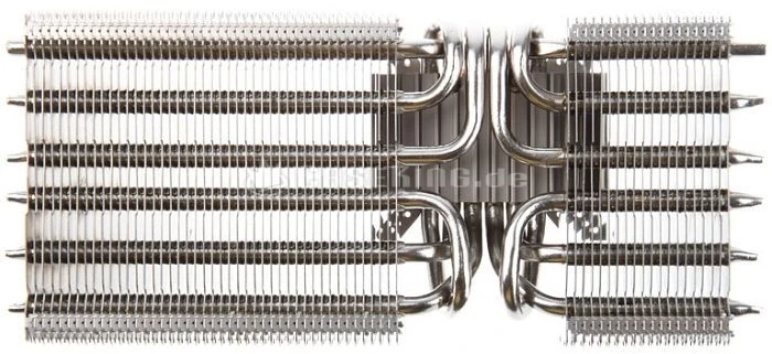 Alpenföhn Peter 2