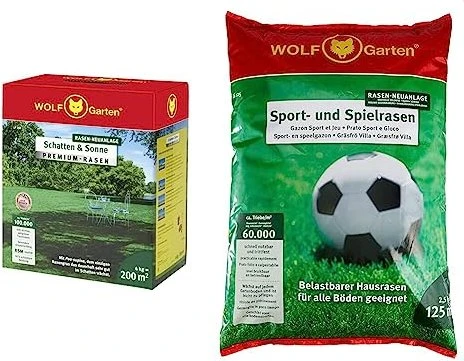 brokkolisamen Keimlinge