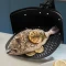 Philips HD9963/00 Airfryer Pizza- und Grillplatte Vorschaubild