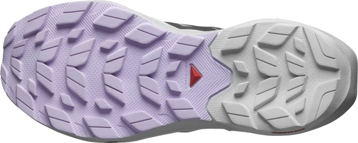 Salomon Elixir Activ sharkskin/glacier gray/orchid petal (Damen)