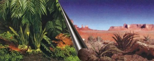 ebi Fotorückwand Jungle & Dessert, 60x30cm