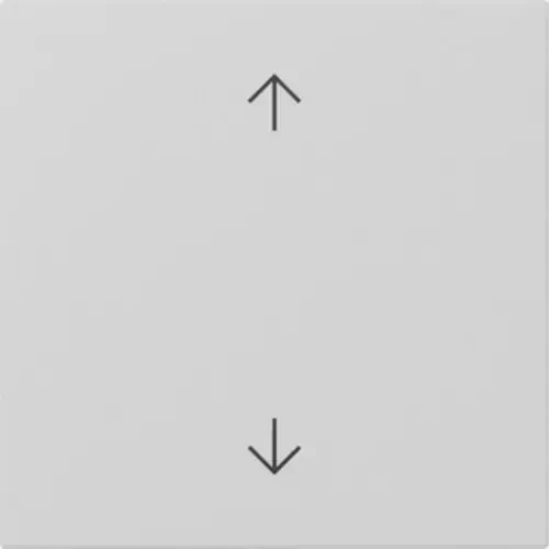 Gira Wippe mit Bedruckung Pfeilsymbole grau matt
