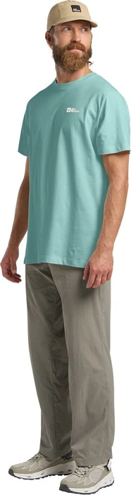 Jack Wolfskin Essential T-Shirt kurzarm soft jade (Herren)