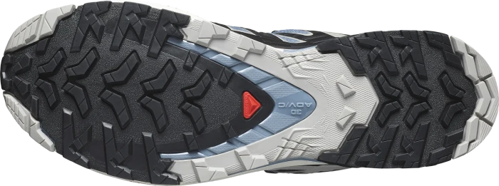 Salomon XA Pro 3D V9 GTX flint stone/black/ghost gray (Herren)
