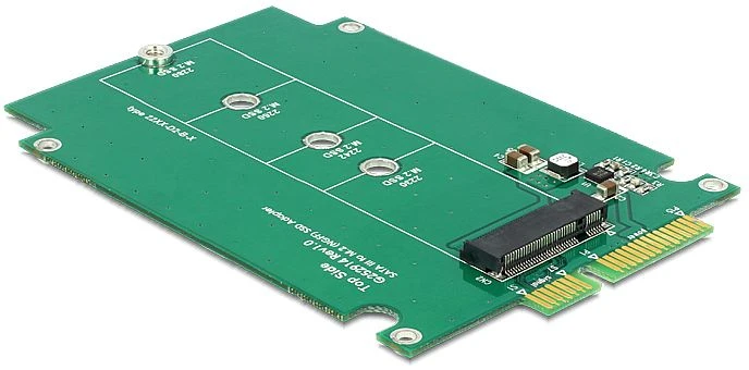 DeLOCK SATA -> M.2 SATA