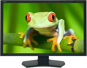 NEC MultiSync PA301W-BK, schwarz, 30"